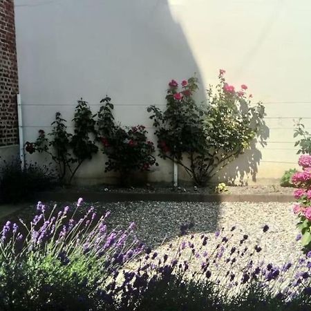 Appartement Calme A 300 M De La Plage-Centre Ville - Quiet Appartment 300 M Near City And Beach Мер-ле-Бен Екстериор снимка