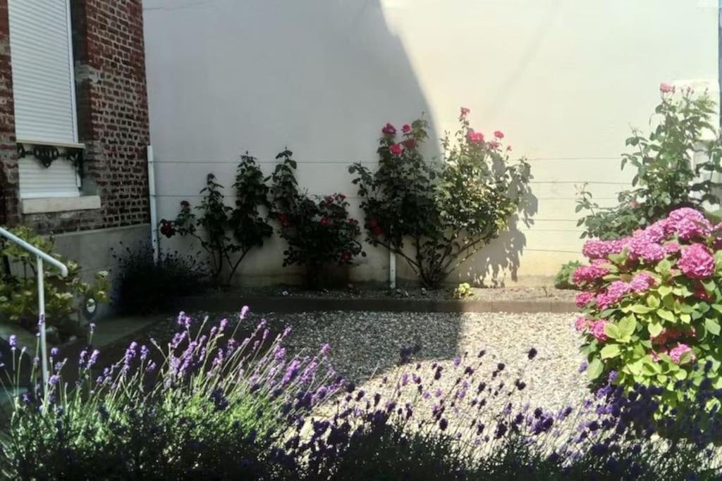 Appartement Calme A 300 M De La Plage-Centre Ville - Quiet Appartment 300 M Near City And Beach Мер-ле-Бен Екстериор снимка